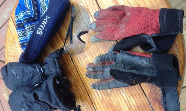 The Power in a Good Pair of Gloves