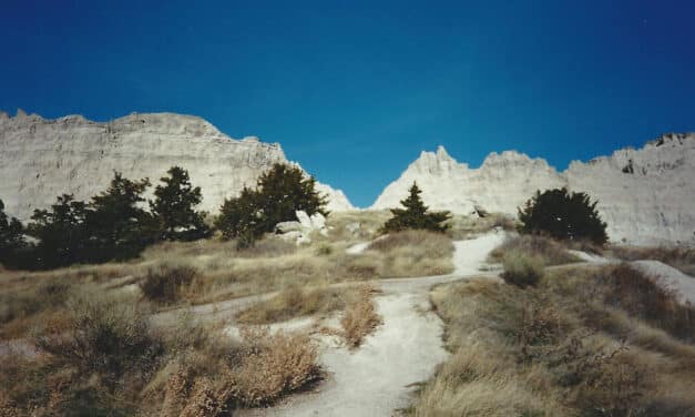 The Great Sister Road Trip of 1996