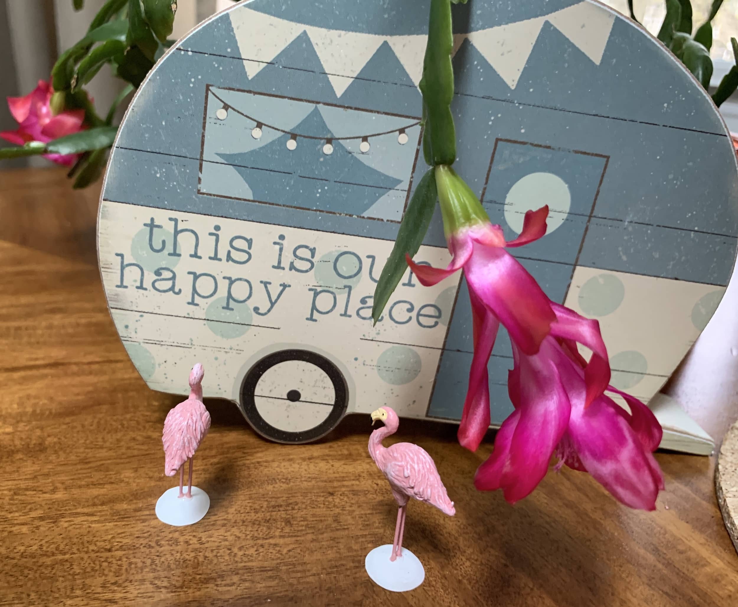 Wooden camper and pink flamingoes