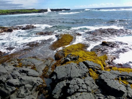 Punaluu Harbor, Hawai'i