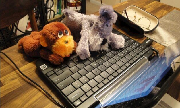 15 Things Not to do in WordPress