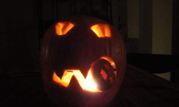 Which Ghoul Do You Prefer?