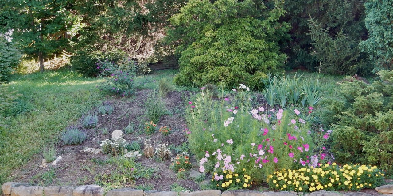 The Zen and Mind-Freedom of Mowing