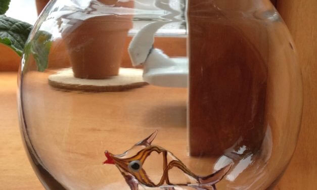 Do You Have Keeping Issues?