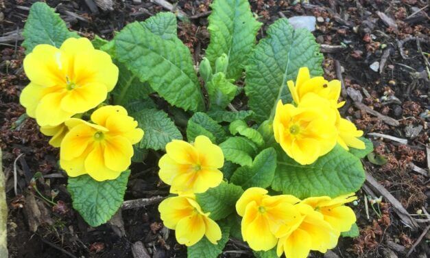 How Hollywood Fails Men