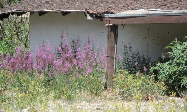 Eating Our Way Through Santa Fe