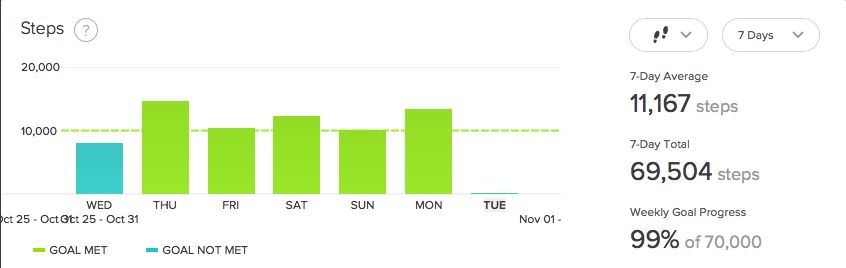 Fitbits Unleash Fierce Competitiveness