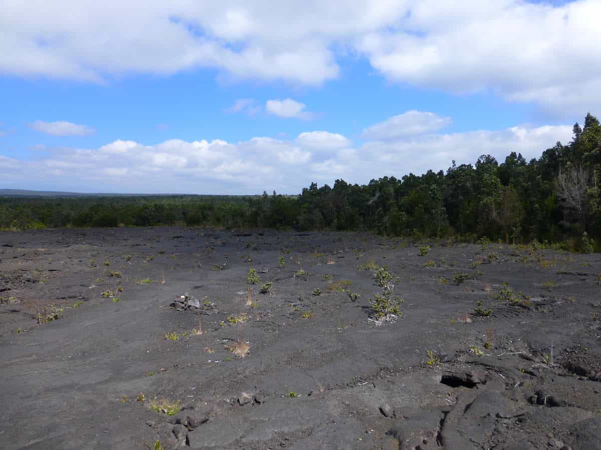 Green & Gray, Volcanoes National park, The Big Island, Hawaii