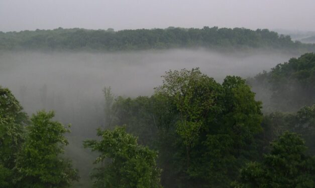 Do You Marvel at the Differences in People?