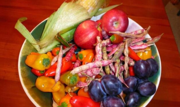 Using the Grocery Store Self-Checkout